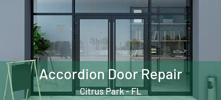 Accordion Door Repair Citrus Park - FL
