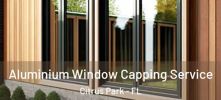 Aluminium Window Capping Service Citrus Park - FL