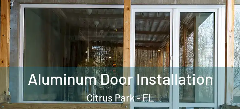 Aluminum Door Installation Citrus Park - FL