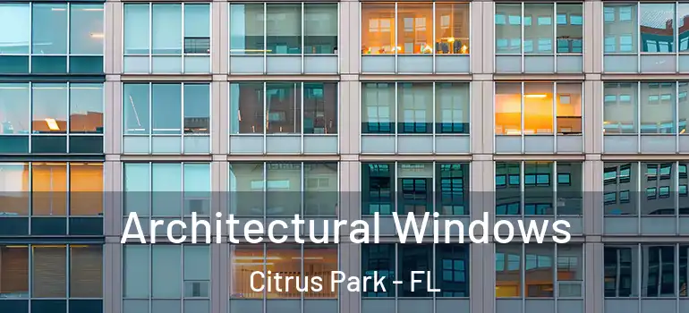 Architectural Windows Citrus Park - FL