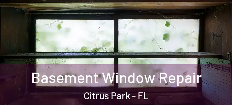 Basement Window Repair Citrus Park - FL