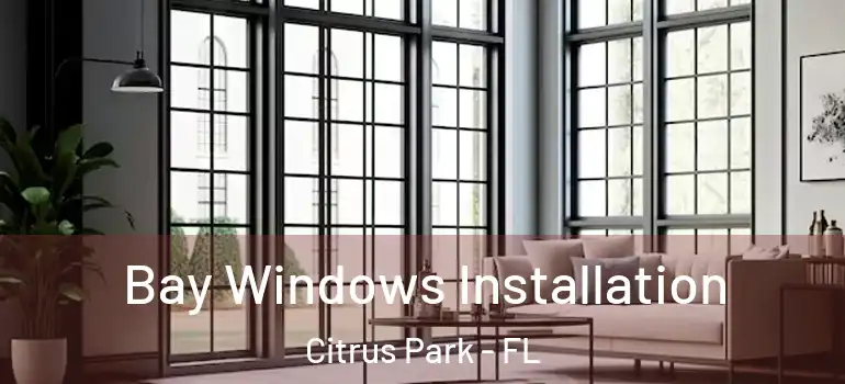 Bay Windows Installation Citrus Park - FL
