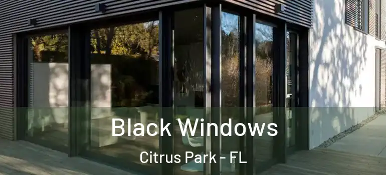 Black Windows Citrus Park - FL