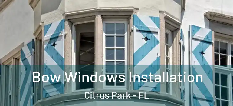 Bow Windows Installation Citrus Park - FL