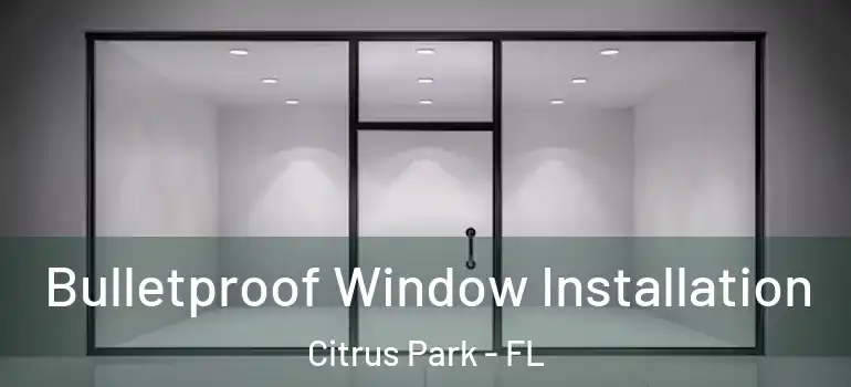 Bulletproof Window Installation Citrus Park - FL
