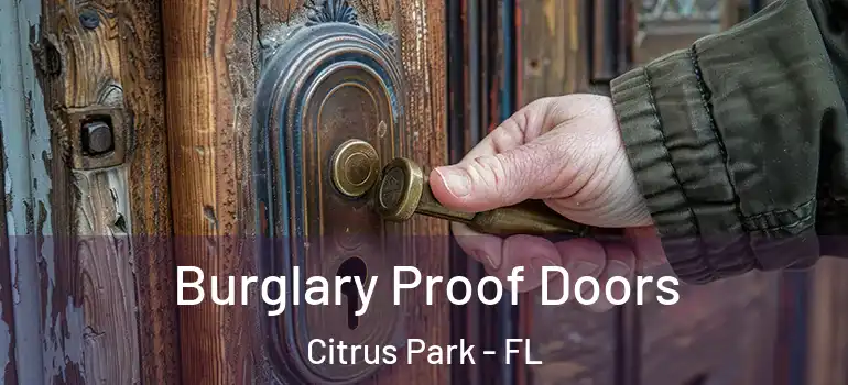 Burglary Proof Doors Citrus Park - FL