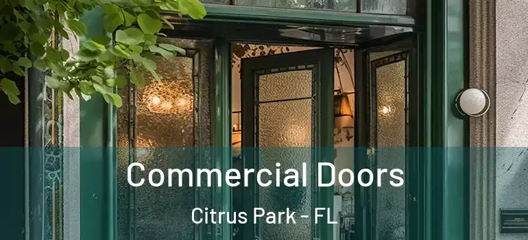 Commercial Doors Citrus Park - FL