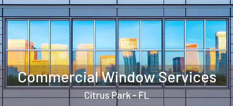 Commercial Window Services Citrus Park - FL
