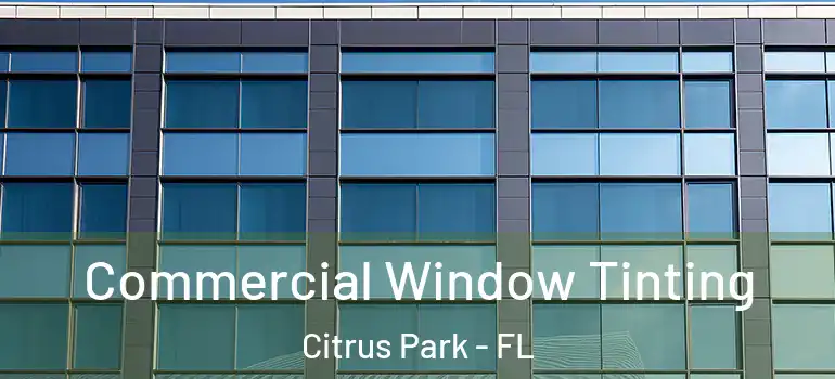 Commercial Window Tinting Citrus Park - FL