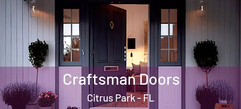 Craftsman Doors Citrus Park - FL