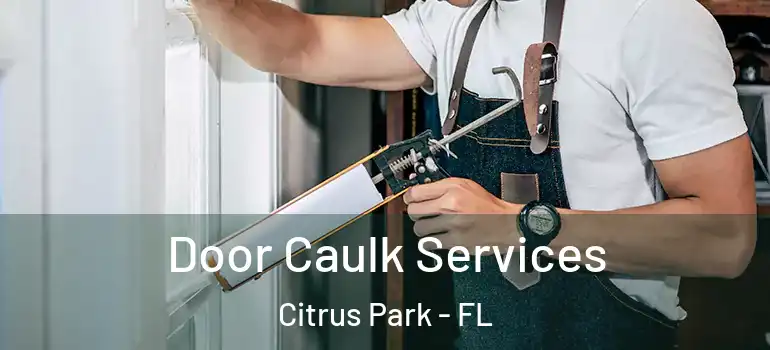 Door Caulk Services Citrus Park - FL