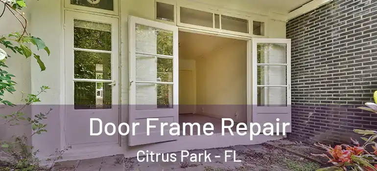 Door Frame Repair Citrus Park - FL