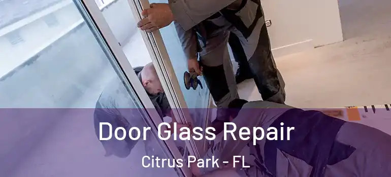  Door Glass Repair Citrus Park - FL