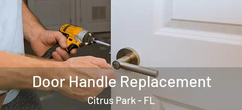 Door Handle Replacement Citrus Park - FL