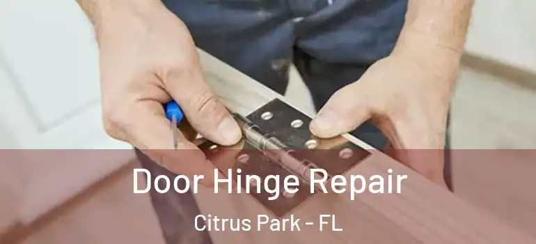 Door Hinge Repair Citrus Park - FL