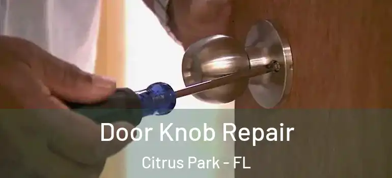 Door Knob Repair Citrus Park - FL