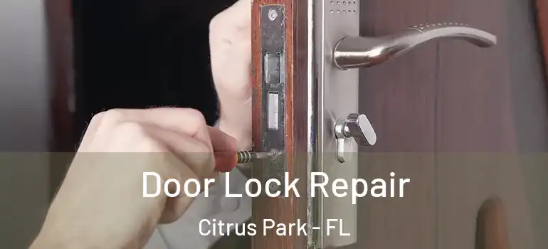 Door Lock Repair Citrus Park - FL