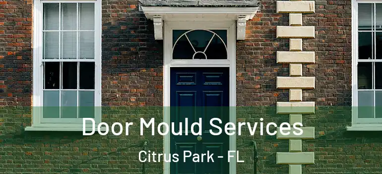 Door Mould Services Citrus Park - FL