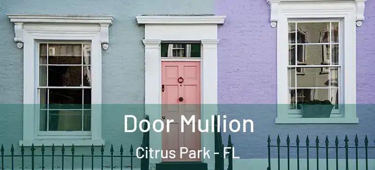 Door Mullion Citrus Park - FL