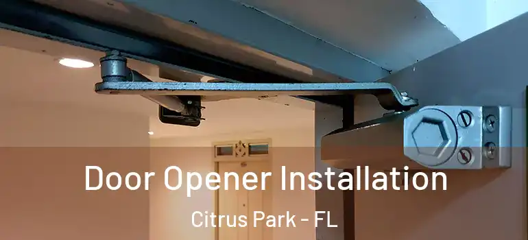 Door Opener Installation Citrus Park - FL