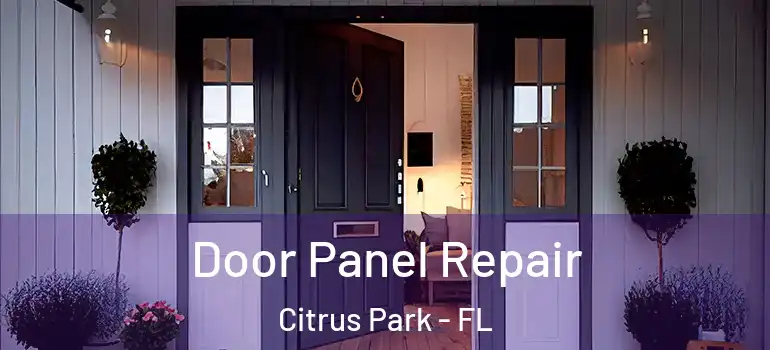 Door Panel Repair Citrus Park - FL