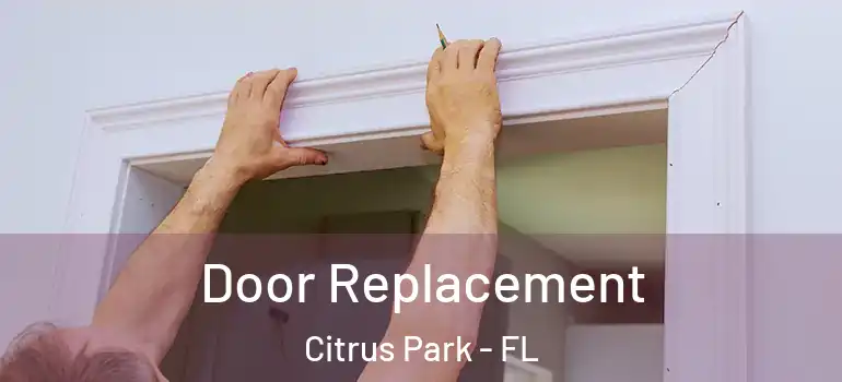 Door Replacement Citrus Park - FL
