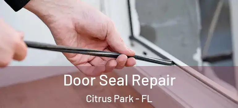 Door Seal Repair Citrus Park - FL