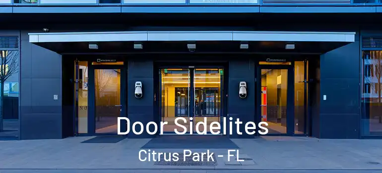 Door Sidelites Citrus Park - FL