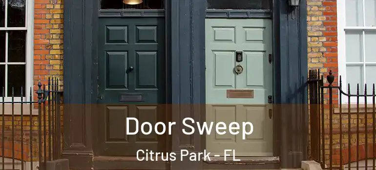 Door Sweep Citrus Park - FL
