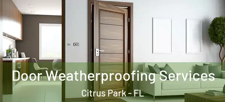 Door Weatherproofing Services Citrus Park - FL