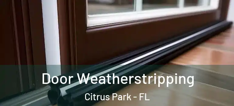 Door Weatherstripping Citrus Park - FL
