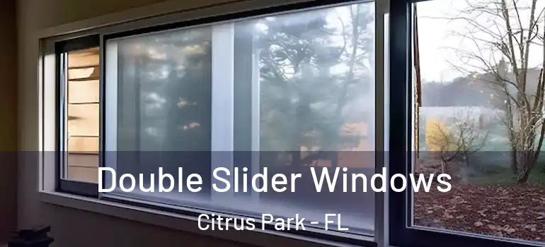Double Slider Windows Citrus Park - FL