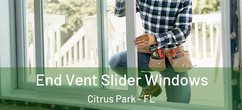 End Vent Slider Windows Citrus Park - FL