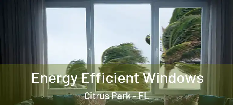 Energy Efficient Windows Citrus Park - FL
