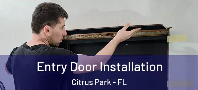 Entry Door Installation Citrus Park - FL