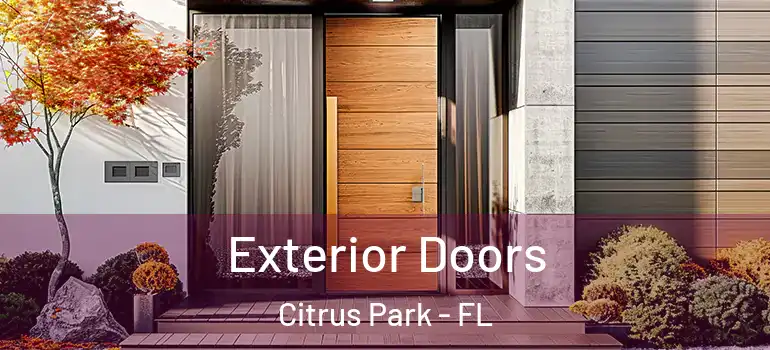 Exterior Doors Citrus Park - FL