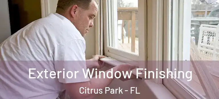 Exterior Window Finishing Citrus Park - FL