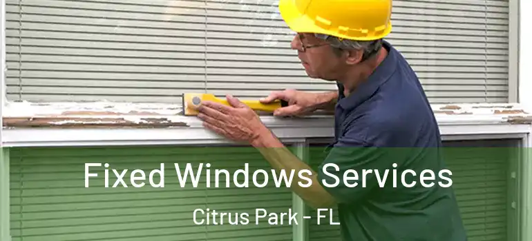Fixed Windows Services Citrus Park - FL