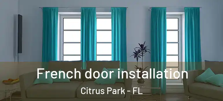 French door installation Citrus Park - FL