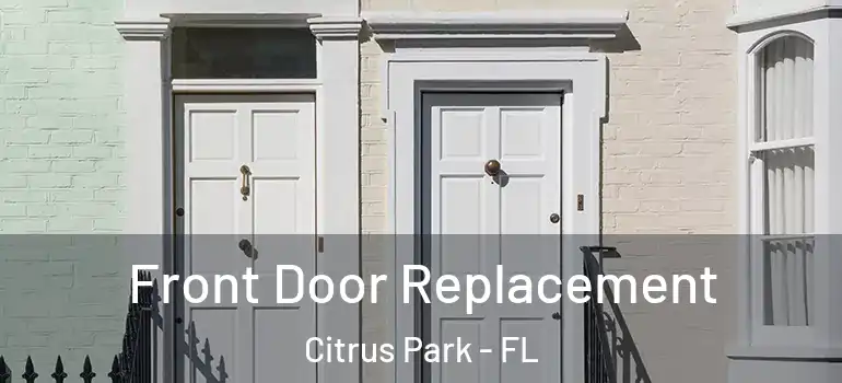 Front Door Replacement Citrus Park - FL