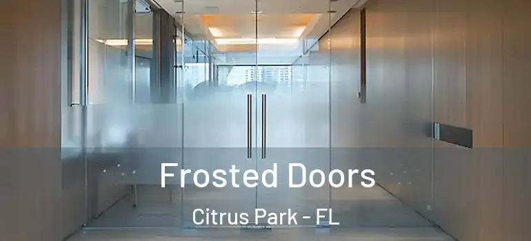 Frosted Doors Citrus Park - FL