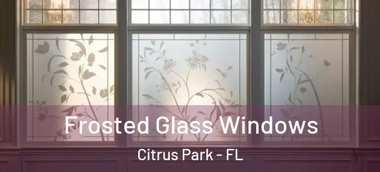 Frosted Glass Windows Citrus Park - FL