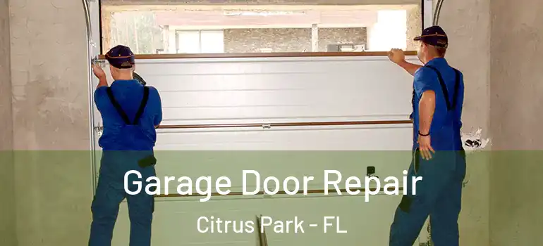 Garage Door Repair Citrus Park - FL