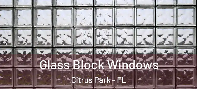 Glass Block Windows Citrus Park - FL