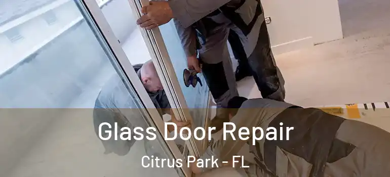  Glass Door Repair Citrus Park - FL