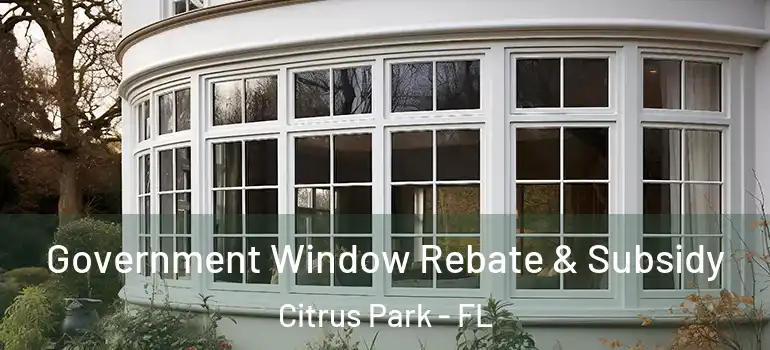 Government Window Rebate & Subsidy Citrus Park - FL