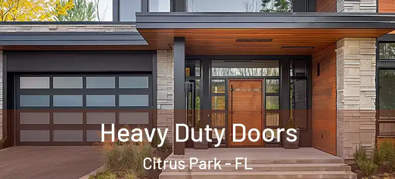 Heavy Duty Doors Citrus Park - FL