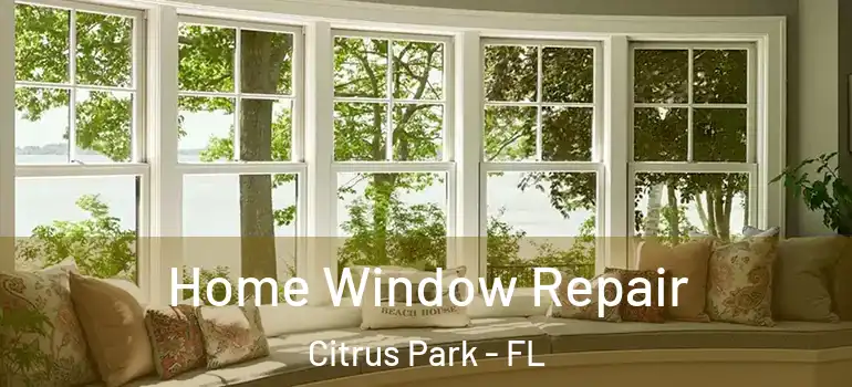 Home Window Repair Citrus Park - FL