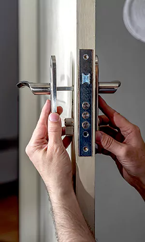 Professional Door and Windows Installation in Citrus Park, FL