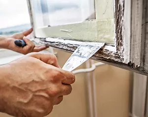 Professional Door and Windows Installation in Citrus Park, FL